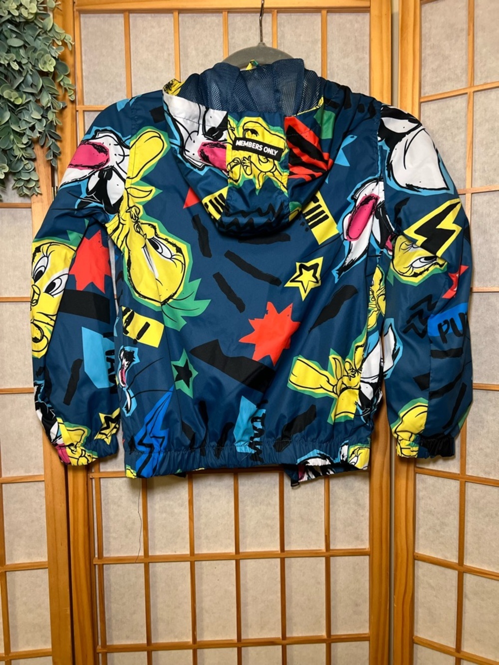 Looney Tunes Members Only Hooded Windbreaker Jacket Kids Size5 Colorful Graphic - Picture 9 of 15